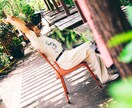 O実績作り特別価格O 思い出写真撮ります 心に響くエモい瞬間。友達・家族・デート写真はお任せください！ イメージ7
