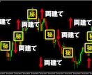 FX専業プロの両建て手法をお教えします 5年に渡ってトレードしてきた自信を持ってお勧めする両建て手法 イメージ3