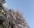 あなたの心に寄り添います 普段吐き出したくても我慢していることやどんな事でも聞きます！ イメージ6
