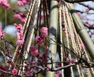 魂結び霊導鑑定で《秘めた愛の真実》を霊視します 不倫の行方、復縁、結婚、ツインレイなどあらゆる恋の悩みを解放 イメージ7