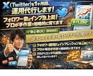 X (Twitter) を1ヶ月間、運用代行します フォロワー数＆インプ急上昇！ プロが手作業で戦略的に育てます イメージ1