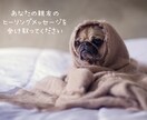 ペットのヒーリングメッセージを受取ります 〜ペットの機嫌が悪い・何かおかしい？の原因を知りたい時に〜 イメージ1