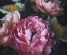 好きな相手の気持ちを占います 相手の今、過去、未来の気持ちを見ます。 イメージ1