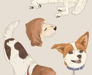 ペットの写真をイラストにします 写真のそのままでも可愛いけれど、絵におこしてみませんか？ イメージ3