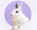 動物の気持ち伝えます うちの子の本音、聞いてみませんか？ペットの気持ち、通訳します イメージ1