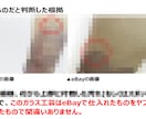 ヤフオクで価格差が出た【ガラス工芸】を教えます eBayで仕入れて販売した人のヤフオクアカウントも完全収録！ イメージ2
