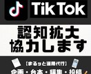 あなたの事業の認知拡大、集客のお手伝いをします 圧倒的拡散力！！TikTokの正しい使い方をお教えします！ イメージ1