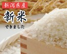 Web画像を制作いたします バナー、サムネイル、リッチメニュー、インスタ画像の制作 イメージ9