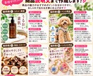 伝わるEC商品画像を3枚作成します 商品画像＋キャッチコピー＋説明文までお任せ イメージ5