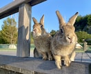 登山・アウトドア・観光・旅行を日帰り取材します 山から街まで自然と人をつなぐストーリー、日本の魅力を発信 イメージ4