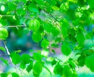 HSPさん専用⭐️日々のお悩み全部受け止めます もう一人で抱え込まなくて良いんだよ、だって、私もHSPだから イメージ5