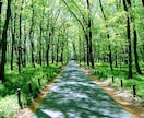あなたの心にそっと寄り添い、お話しお聴きします おしゃべりがちょっと苦手な方でも文面でのやり取りなので安心✨ イメージ1