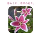 小さなお店向けSNS投稿画像を３枚作ります 店舗紹介・商品紹介・お知らせを見やすくデザイン イメージ2