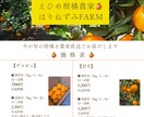 農家さん向け！直売所・マルシェ用チラシ作ります 見やすい農業チラシを丁寧に制作します。インスタにも使えます。 イメージ2