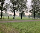 オランダ移住を検討している方のご相談に応じます 食品会社スイス駐在員、その後県庁を退職後オランダ移住した主夫 イメージ9