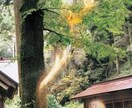 色々な悩みを話しながら解決します 1度話をしてみませんか？高校生社会人でも大歓迎です イメージ2