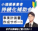 小規模事業者持続化補助金の計画書作成を補助します ベテランが補助／審査ポイントを押さえる／はじめての補助金申請 イメージ1
