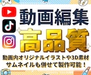 高品質なSNS向け動画を作成します 【登録者6.5万人実績】丁寧なヒアリングで安心！丸投げOK イメージ1