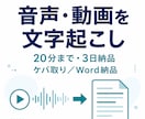 20分までの音声・動画を文字起こしします ケバ取り・軽い整文をしてWord／TXTで納品 イメージ1