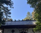 四柱推命であなたの悩みを解消します 的確なアドバイスでそっと後押しさせていただきます✧︎ イメージ1