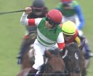 競馬の独自の見解と本命馬、推奨馬予想します あなたの予想を手助けします。展開から予想してます地方競馬も。 イメージ5