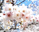将来結婚する運命の人との出会い方を霊視鑑定でみます 復縁、片思い、運命の赤い糸で結ばれた方と明るい未来へ導きます イメージ3