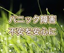 お試し1日@パニック障害の方のお出かけを支援します 怖いお出かけ時、トークルームでお話する事であなたを見守ります イメージ1