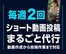 TikTok・リール・ショート動画投稿代行します リール・TikTok・YouTubeショート対応 イメージ1
