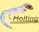 小動物のリアルイラスト作成いたします 【ハムスター、チンチラ、うさぎ、鳥類、爬虫類など】 イメージ3