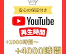 YouTube再生時間を1000時間～宣伝します チャンネル収益化に必要な視聴時間まで拡散＆宣伝致します イメージ1