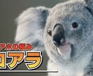 3大通信総内定のゆるい24卒が就活相談乗ります 意識高い系じゃないけど納得就活したい人の駆込み寺になりたいや イメージ2