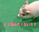 悩みがあって困っている方にプロが助言します プライベート、仕事、親子…今ある悩みを一緒に解決しましょう イメージ1