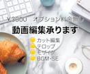 動画編集いたします スクールで動画編集を学んだ動画編集者が動画編集代行します イメージ1