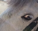 子供の写真でいます 子供の写真です。何かのデザインに使えたら幸いです。 イメージ1