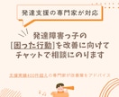 発達障害っ子の困る行動に専門家がチャット相談します 支援実績500件超！ASD/ADHD/癇癪/暴言/お悩み改善 イメージ1