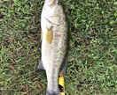 栃木県バス釣りポイント教えます 釣り歴12年で養ったポイントや今のパターンを教えます イメージ2