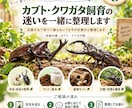 カブトムシ・クワガタの飼育の迷いを整理します 1ケース・1テーマ1,000円｜次の確認事項を整理 イメージ1