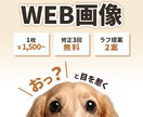 Web画像制作｜「伝わるデザイン」に仕上げます 心に馴染む、あたたかなデザインをご提案 イメージ1