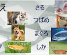 １.リハビリ教材を提案します 様々なバリエーション！明日からすぐに使える！ イメージ3