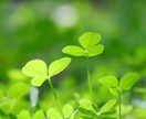 女性限定♡ともにい☺︎がどんな話でも相手になります 気軽にラフな感じでどなたでもどうぞ♪ イメージ8