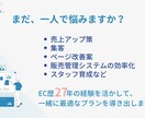 楽天SOY受賞！ECサイト運営を伴走支援します EC歴27年の経験から最適解を提案！ イメージ3