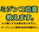 タマミジンコ培養方法教えます もう購入するのは餌だけ！培養失敗を助けます！！ イメージ1
