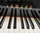 お子さんがいない時間にピアノレッスンいたします 子供が園や学校へ行っている間に自宅にいながらピアノレッスン！ イメージ5