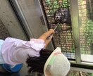 子連れ旅行の不安を安心に変えるプランを作ります ご希望に応じて、航空券・ホテルの予約、旅行手配もできます。 イメージ5