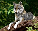 動物イラストを一つ一つ丁寧に描き上げます 自分や身近な人のペットの可愛いイラストが欲しい方へ イメージ8