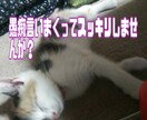 一週間トークルームにて愚痴聞きます 一週間愚痴を言いまくってスッキリしませんか？ イメージ1