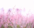 相手の気持ちがわからない複雑恋愛のお悩みを伺います 誰にも話せない恋だからこそ安心して話せる秘密の相談先 イメージ8
