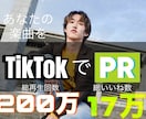 TikTokであなたの楽曲をダンスでPRします 総再生数200万、総いいね数16万の垢でバズリのきっかけに イメージ1