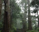 お悩みを改善するために根本から変容させていきます 相談するだけでは何も変わりません！本気の方だけお申込み下さい イメージ4