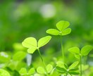 あなたのお悩みを真剣にお聞きします 悩みが絶えず辛い時に、味方が欲しいあなたへ イメージ3